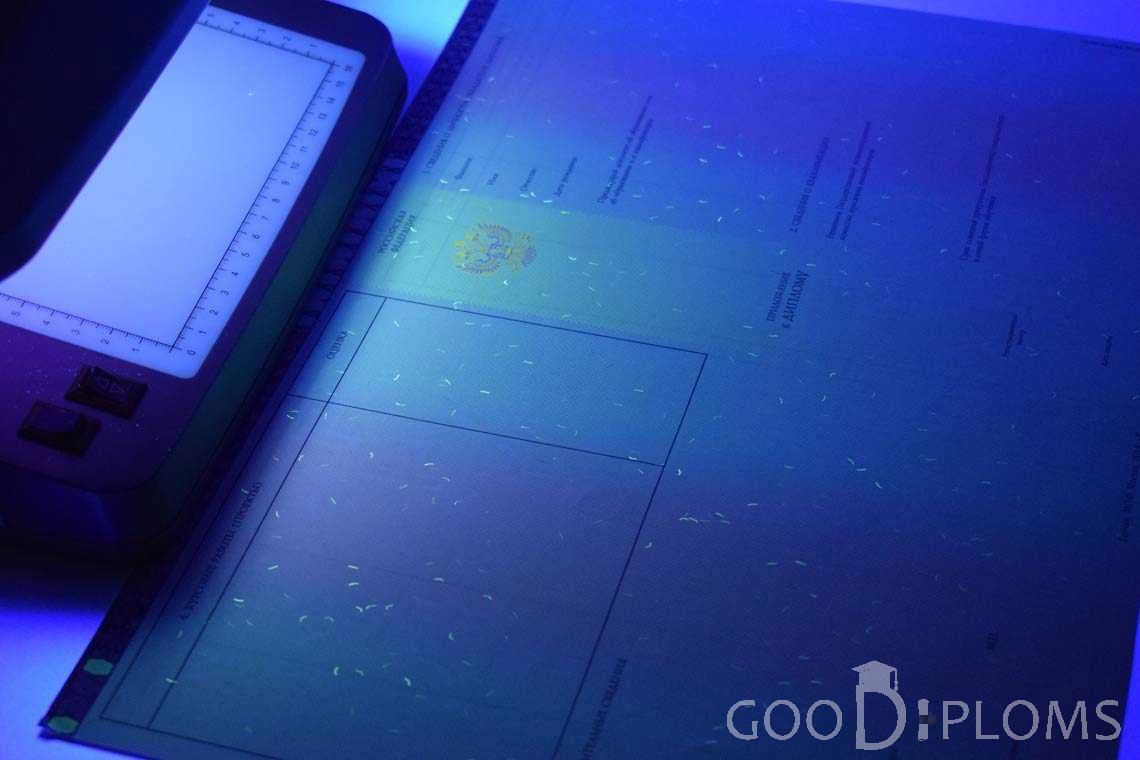 Приложение к Диплому Бакалавра с Отличием в Ультрафиолете период c 2013 по 2025 год - Винницу