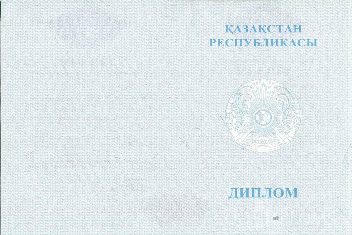 Казахский диплом магистра - Обратная сторона- Винницу